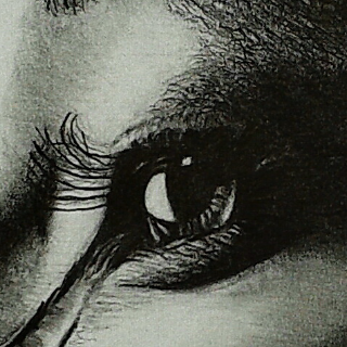 Hani Ali