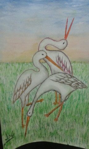 Adel Fouad