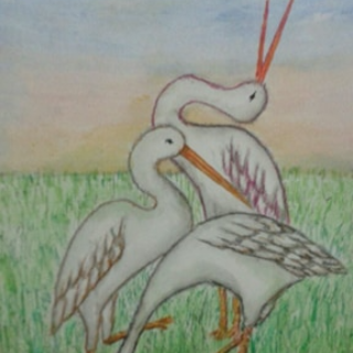 Adel Fouad