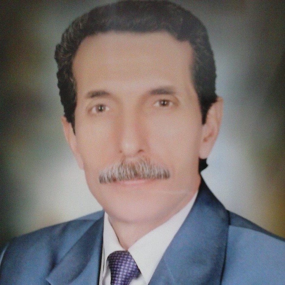 Mohamed Enany