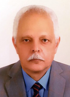 محمد الملوانى