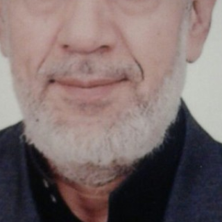 عادل عراقي