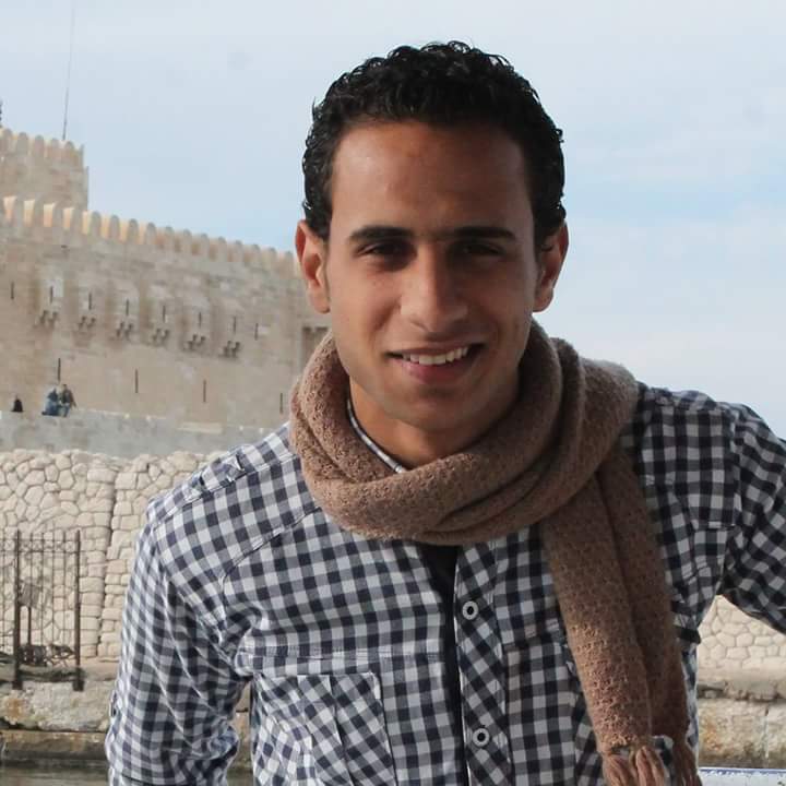 محمود ناجي