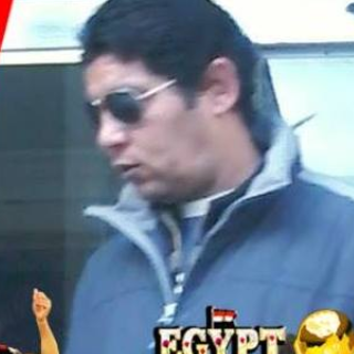 بشير الشاذلى