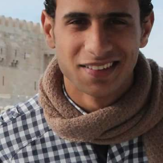 محمود ناجي