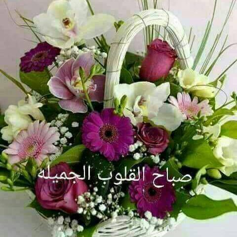ميناس البسيوني