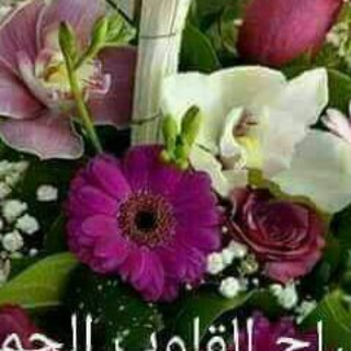 ميناس البسيوني