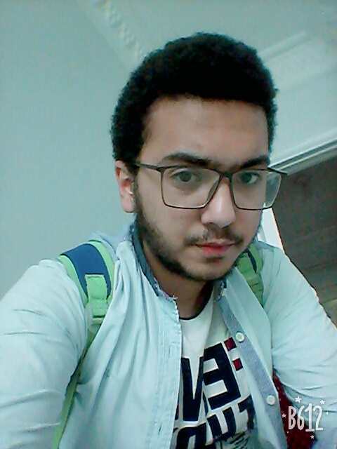 Omar El Halawany