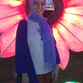 Dina Mohamed Eweys