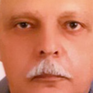 محمد الملوانى