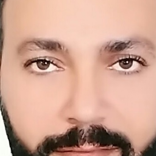 Waleed Abdelmotelib