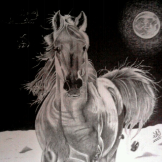 د. آلاء محمد