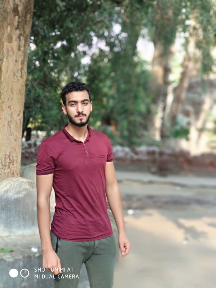 احمد علام