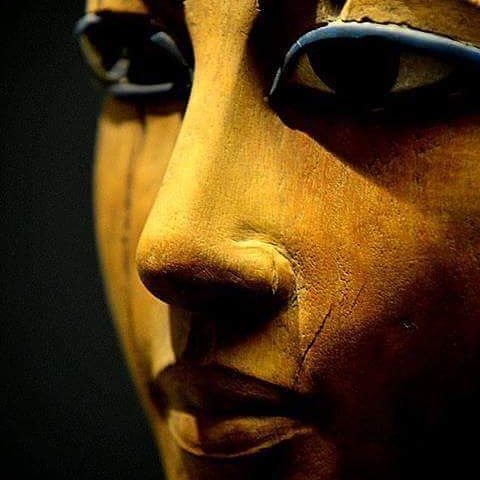 أماني المصري