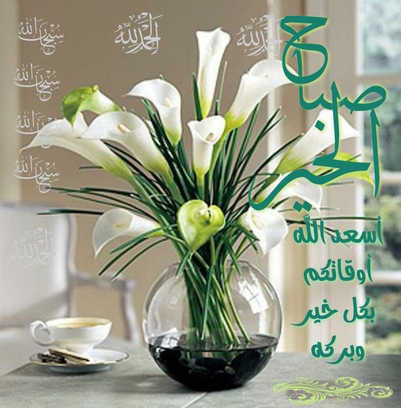 علياء عبدالله