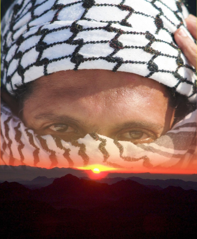 عصام عبد الحليم