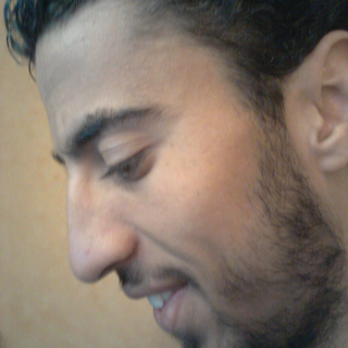 وليد طويل