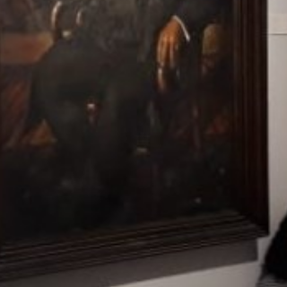 مريم عبد المنعم