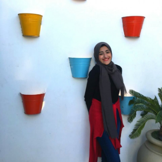 Lamis Elmahdy