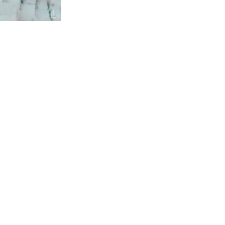 محسن موسي