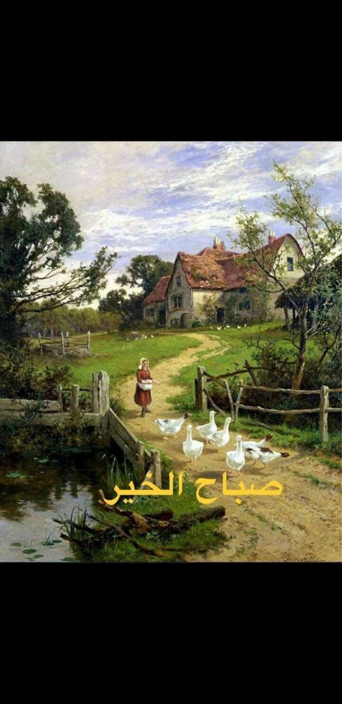 Rouaida Younes