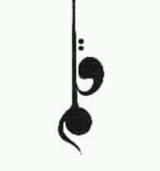 Sameh Lashin