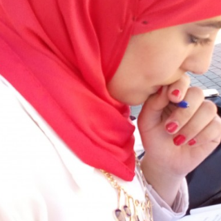 Ola Mohammed Abd elaziz