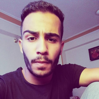 ضياء الدين عصام