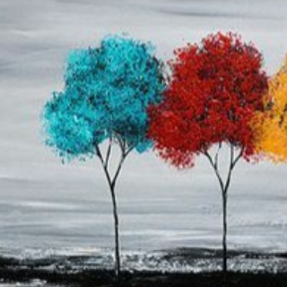 Wisam Elbarkaawy