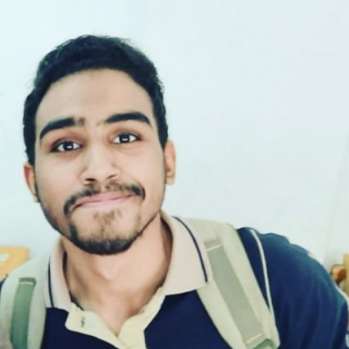 عمر طلعت