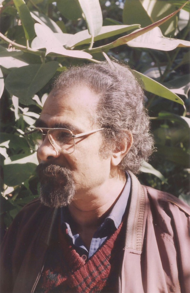 مسعد أحمد إسماعيل