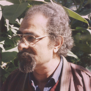 مسعد أحمد إسماعيل