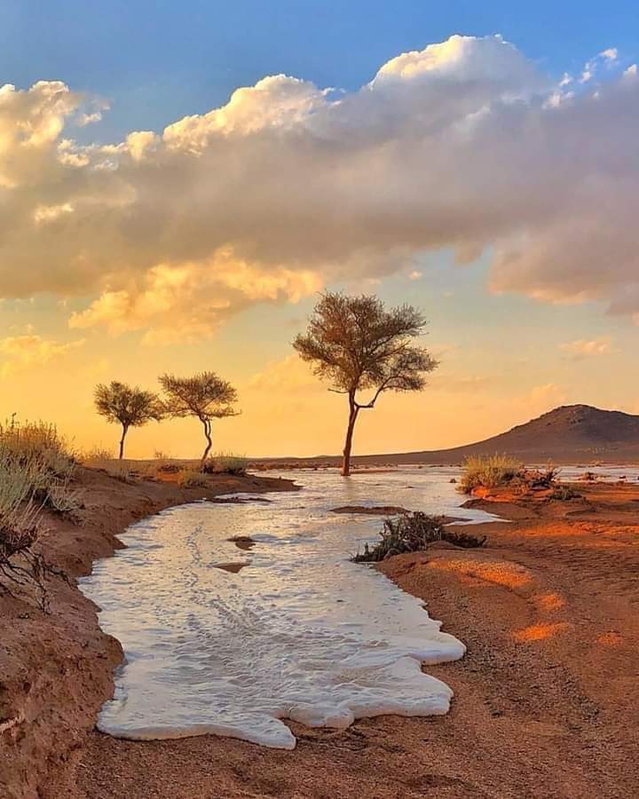 حسن أيت عبد الله