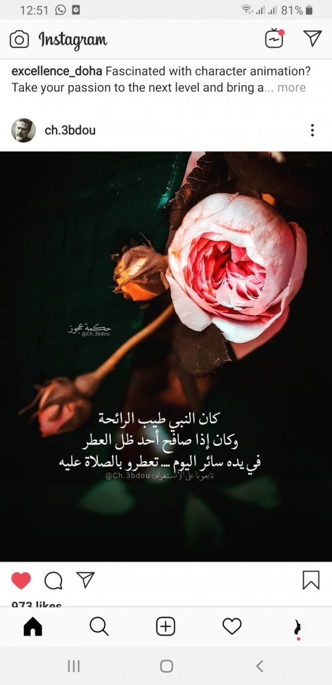 دانه عفانه