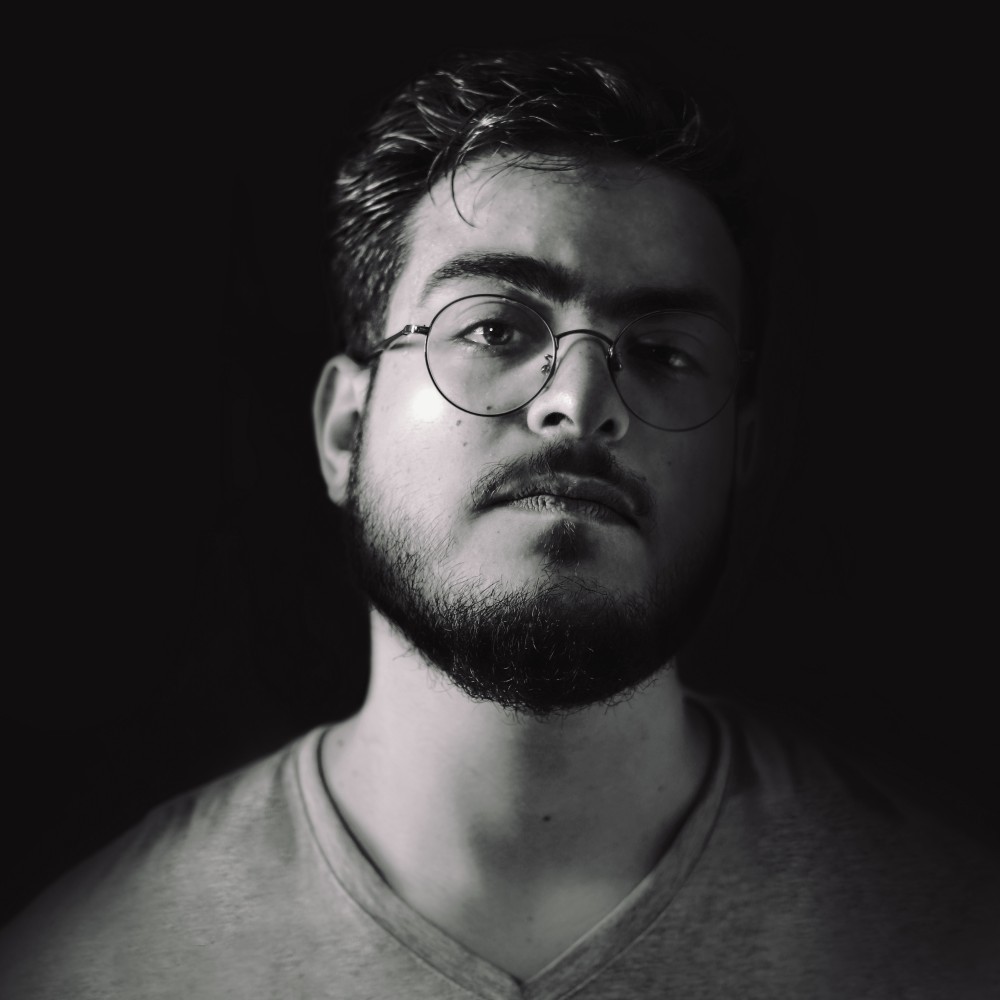 محمد هانى الهوارى