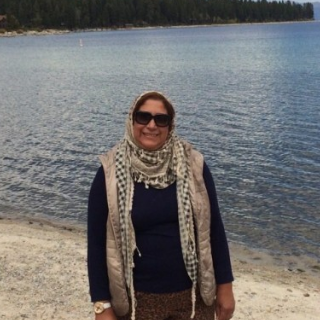Manal Abdel Fattah