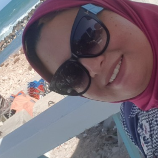 Sally Hafez 