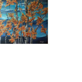 براء مولوي