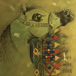 Ashjan Abu homoud