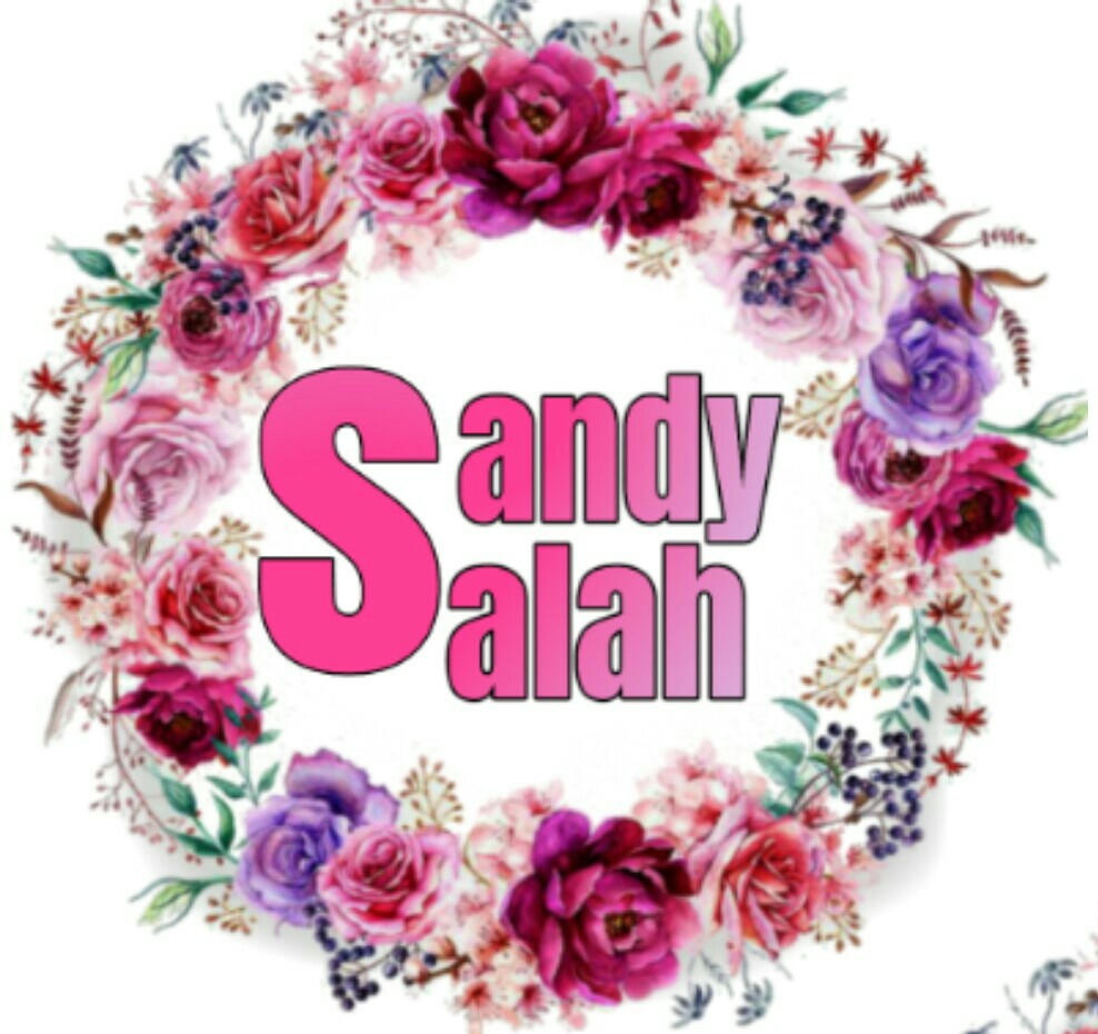ساندي صلاح