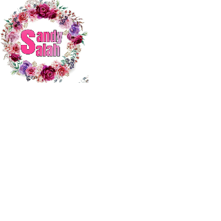 ساندي صلاح