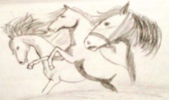 Ahmed Rehim