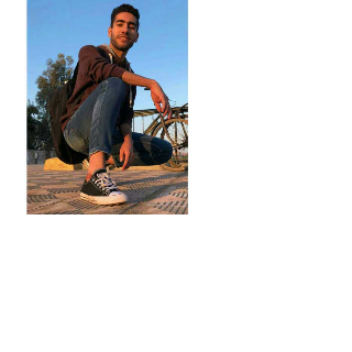 Hamed Nasser Elshall