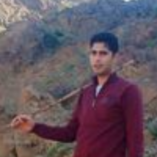 Mohamed Elmasry