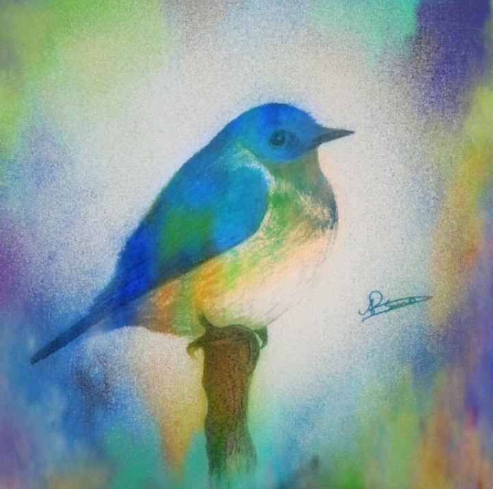 Asma Art