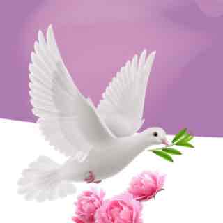 Fatamh Alamray