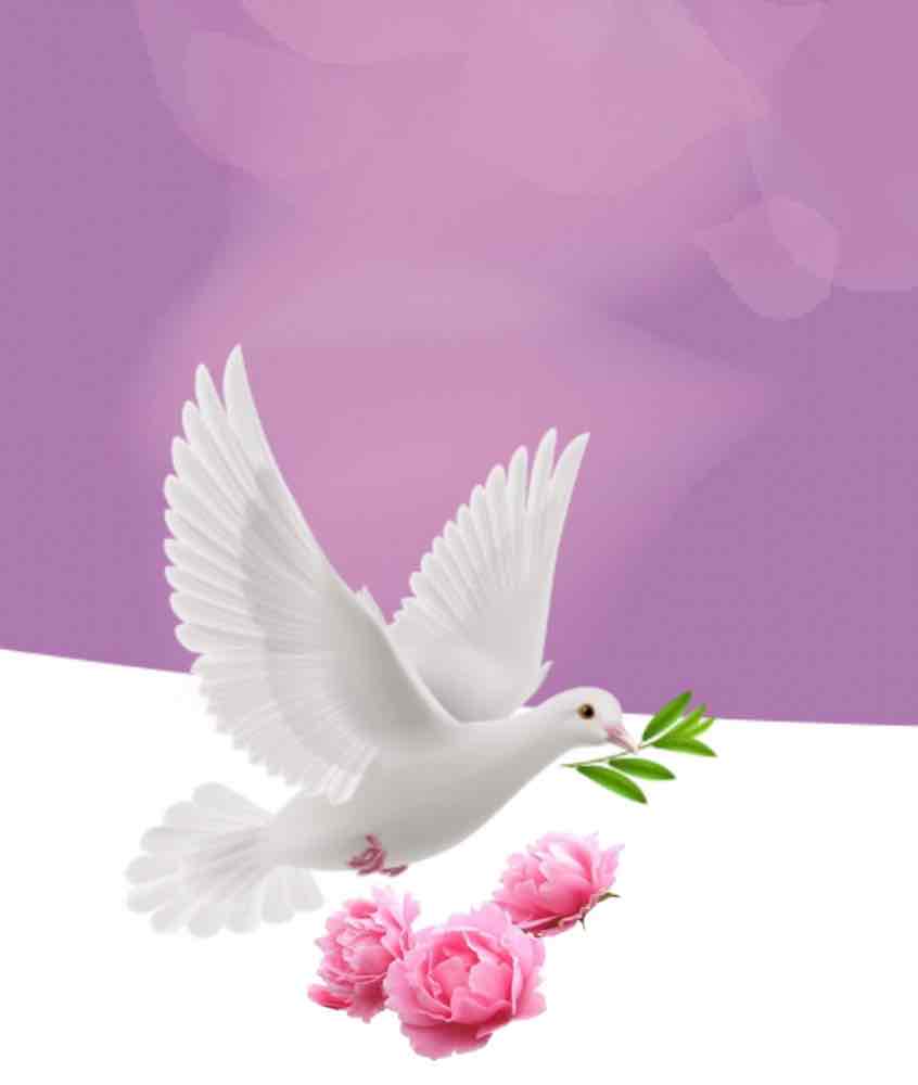 فاطمه العمري