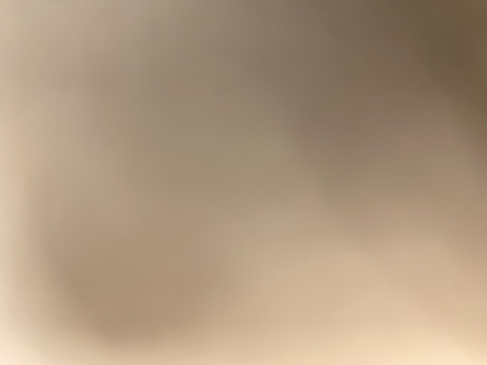 مريم البلوشي