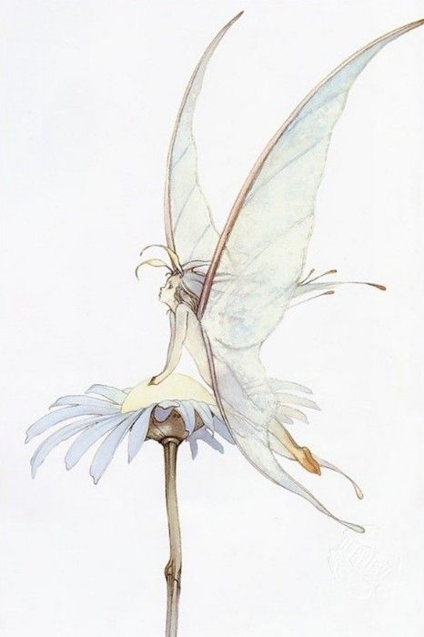 اصاله سلطان