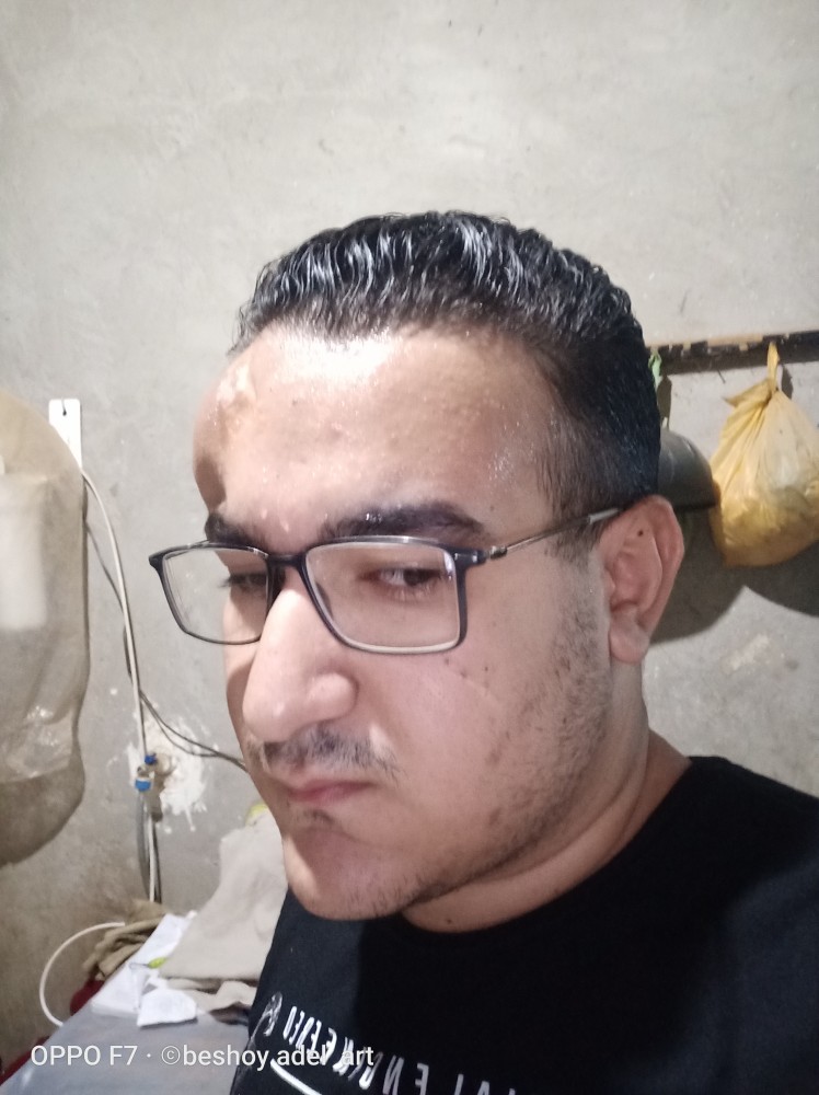 Beshoy Adel Salah